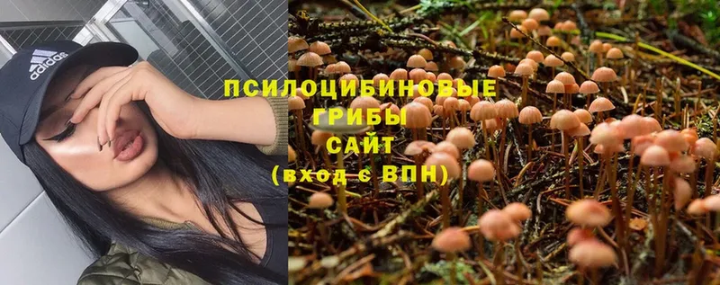 ОМГ ОМГ ССЫЛКА  Тюкалинск  Псилоцибиновые грибы Psilocybe 